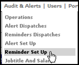 Fig. 2 - Audit and Alerts drop down